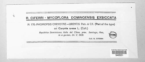 Phomopsis caryotae-urentis image